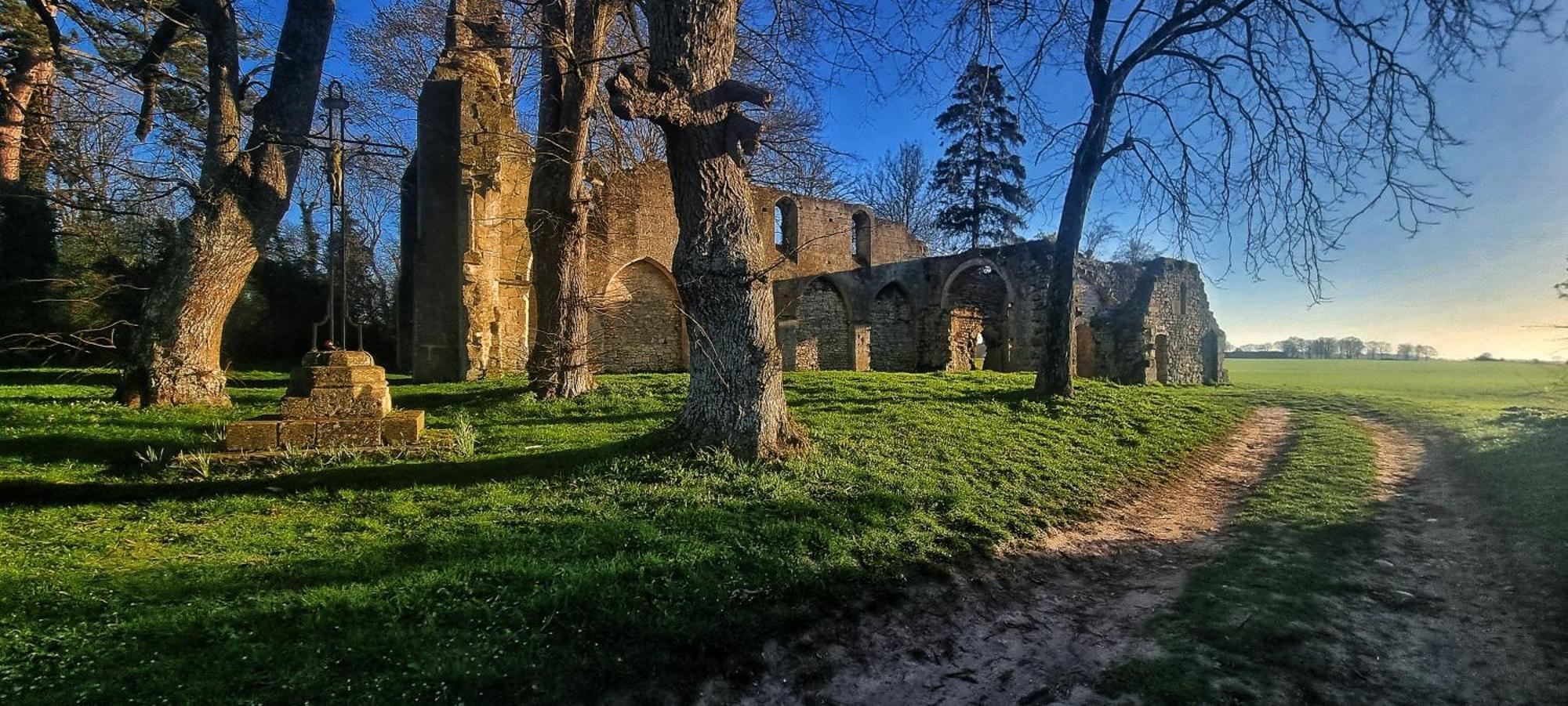 Gite Du Grand Frene Orrouy Exterior foto