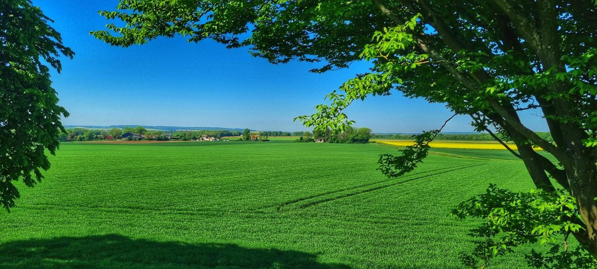 Gite Du Grand Frene Orrouy Exterior foto